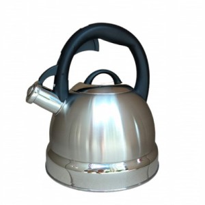Чайник нержавіючий Maestro 1329