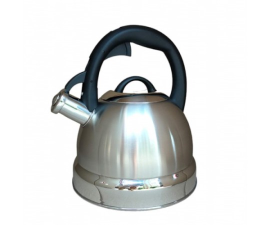 Чайник нержавіючий Maestro 1329